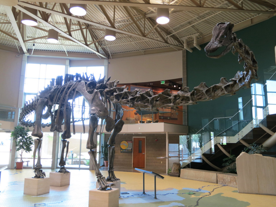 A four-story, 84-ton Brachiosaurus fossil stands decorated with a